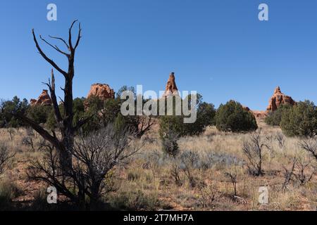 Der Mond und die erodierten Sandsteinformationen im Kodachrome Basin State Park in Utah. Stockfoto