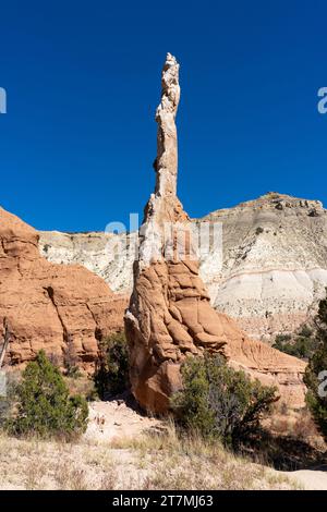 Eine Sandpfeife oder ein Kaminstein, ein erodierter Felsenturm im Kodachrome Basin State Park in Utah. Stockfoto