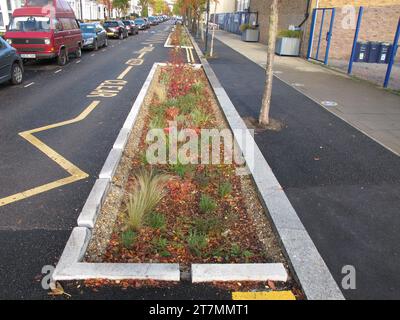 Flutgärten in der Brooke Street, Walthamstow, London, Großbritannien. Ein nachhaltiges städtisches Entwässerungssystem (SUDS) zur Aufnahme von Abwasser bei starkem Regen. Stockfoto