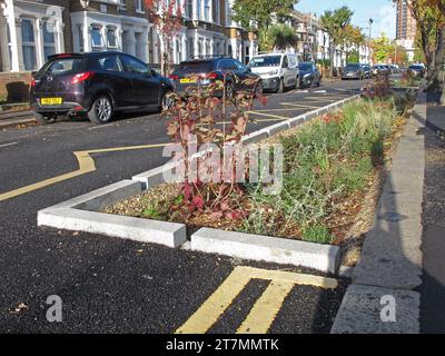 Flutgärten in der Brooke Street, Walthamstow, London, Großbritannien. Ein nachhaltiges städtisches Entwässerungssystem (SUDS) zur Aufnahme von Abwasser bei starkem Regen. Stockfoto