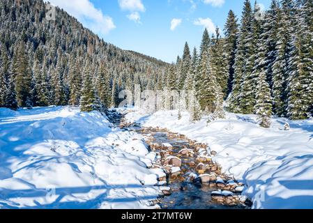 Creek schlängelt sich an einem sonnigen Wintertag durch einen verschneiten Wald in den Alpen Stockfoto