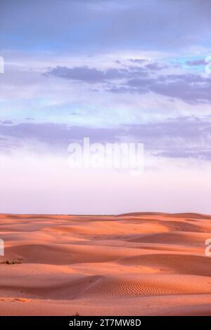 Sonnenuntergang in den Sanddünen in der San Rafael Wüste im Zentrum von Utah. Stockfoto