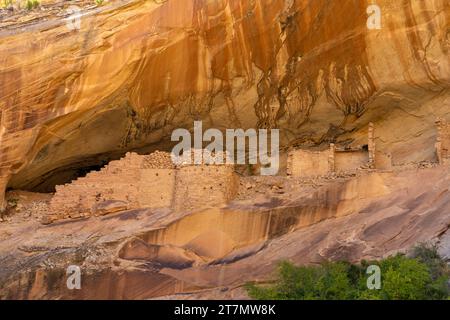 Monarch Cave Ruins, eine angestammte Puebloan Klippe, die in einem Seitenschlucht von Butler Wash wohnt, Bears Ears National Monument, Utah. Stockfoto