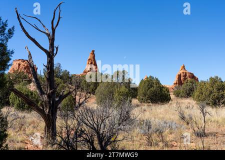 Der Mond und die erodierten Sandsteinformationen im Kodachrome Basin State Park in Utah. Stockfoto