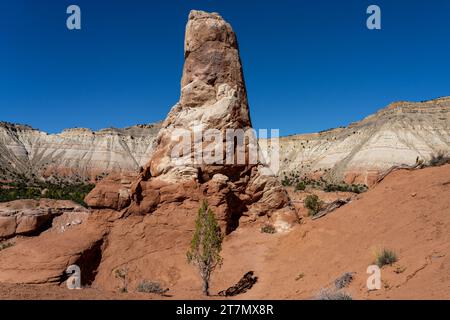 Ein kleiner wacholderbaum vor einem Sandrohr oder einem Schornstein, ein erodierter Felsenturm im Kodachrome Basin State Park in Utah. Stockfoto