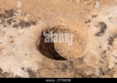 Ein Metat oder Loch zum Mahlen von Mais mit einem anderen Stein in den Ruinen der Monarch Cave. Butler Wash, Bears Ears National Monument, Utah. Stockfoto