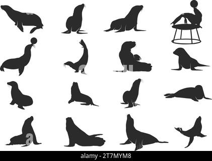 Seal Silhouette Kollektion, Sea Lion Silhouetten, Seal Clipart Stock Vektor