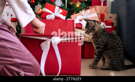 Das süße Kätzchen blickt in eine rote Geschenkbox, einen Weihnachtsbaum, der mit festlichen Weihnachtsschmuck verziert ist, um die heimische Urlaubsdekoration zu verbessern und zu werden Stockfoto