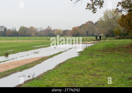 Englefield Green, Großbritannien. November 2023. Nach den jüngsten schweren Regenfällen wurde der neue National Trust Footpath zum Magna Carta Memorial in Englefield Green, Surrey, heute teilweise überflutet. Quelle: Maureen McLean/Alamy Live News Stockfoto