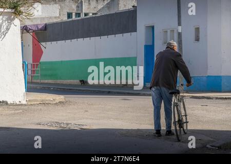 Das große Wandgemälde der palästinensischen Flagge an der Wand mit dem alten Mann, der mit dem Fahrrad vorbeifährt. Stockfoto