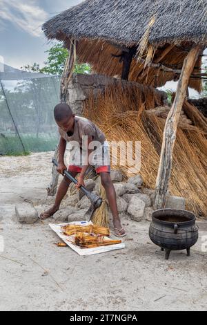 Junge mit einer Axt, die Mokolwane Palme zum Kochen schneidet, Außenküche, Haus mit Strohdach im Hinterhof in einem Dorf in afrika Stockfoto