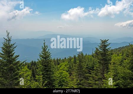 Hazy Mountains in der Ferne über einem grünen Wald vom Mt. Mitchell in North Carolina Stockfoto