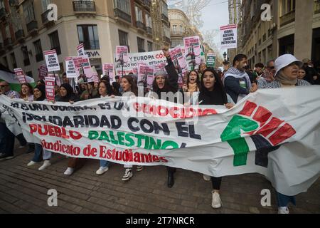 Malaga, Spanien. November 2023. Studenten werden mit einem großen Banner und Plakaten gesehen, während sie an einer zweiten Studentendemonstration zur Unterstützung Palästinas und Gazastreifens teilnehmen. Dutzende von Studenten nahmen an einem Protest der studentengewerkschaft Teil, der ein Ende der Bombardierung von Gaza forderte und in Solidarität mit dem palästinensischen Volk inmitten des Krieges zwischen Israel und der Hamas forderte. Quelle: SOPA Images Limited/Alamy Live News Stockfoto