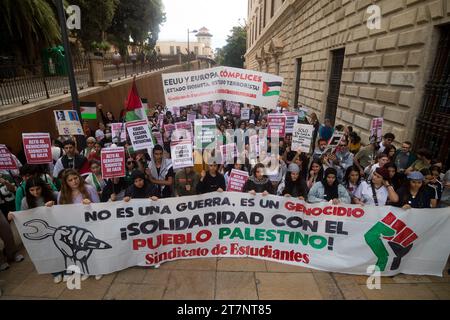 Malaga, Spanien. November 2023. Studenten werden mit einem großen Banner und Plakaten gesehen, während sie an einer zweiten Studentendemonstration zur Unterstützung Palästinas und Gazastreifens teilnehmen. Dutzende von Studenten nahmen an einem Protest der studentengewerkschaft Teil, der ein Ende der Bombardierung von Gaza forderte und in Solidarität mit dem palästinensischen Volk inmitten des Krieges zwischen Israel und der Hamas forderte. (Foto von Jesus Merida/SOPA Images/SIPA USA) Credit: SIPA USA/Alamy Live News Stockfoto