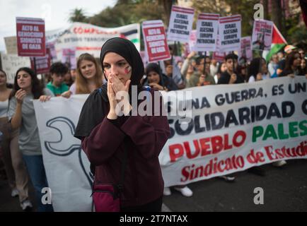 Malaga, Spanien. November 2023. Eine Frau, deren Gesicht mit der Farbe der palästinensischen Flagge bemalt ist, wird bei einer zweiten Studentendemonstration zur Unterstützung Palästinas und Gazastreifens Parolen singen sehen. Dutzende von Studenten nahmen an einem Protest der studentengewerkschaft Teil, der ein Ende der Bombardierung von Gaza forderte und in Solidarität mit dem palästinensischen Volk inmitten des Krieges zwischen Israel und der Hamas forderte. (Foto von Jesus Merida/SOPA Images/SIPA USA) Credit: SIPA USA/Alamy Live News Stockfoto
