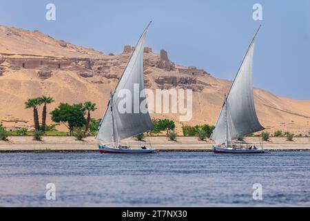 Ein Paar Feluken, traditionelle offene Boote unter Segeln auf dem Nil in der Nähe von Assuan, Ägypten Stockfoto