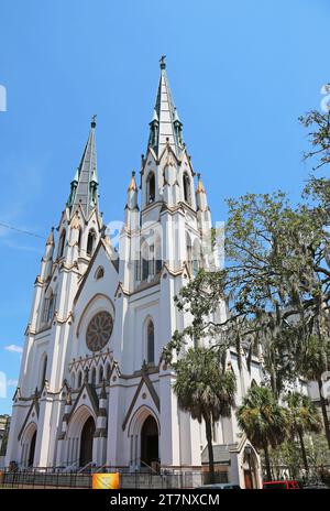 Kathedrale von St. Johannes dem Babtisten, Savannah, Georgia Stockfoto