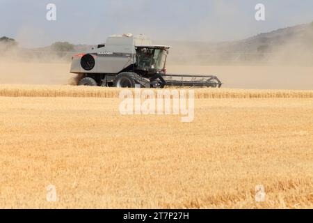 Rire, Idaho, USA 10. Juli 2011 ein landwirtschaftlicher Mähdrescher, der Reifen harten roten Weizen auf den fruchtbaren Feldern von Idaho erntet. Stockfoto