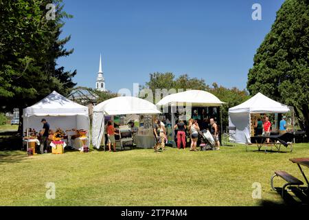 Idaho Falls, Idaho, USA 4. Juli 2016 Kinder und Erwachsene spazieren durch eine Gruppe von Händlerzelten bei einem Art in the Park Sale in einer mittelgroßen US-Gemeinde. Stockfoto