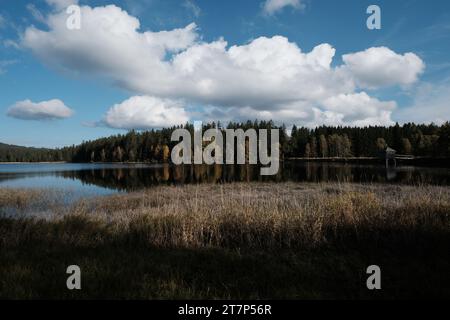 Rosenhofer Teiche bei Sandl im Spätherbst, Sandl, Mühlviertel, Oberösterreich, Österreich Stockfoto