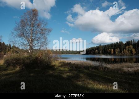 Rosenhofer Teiche bei Sandl im Spätherbst, Sandl, Mühlviertel, Oberösterreich, Österreich Stockfoto