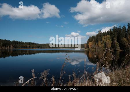 Rosenhofer Teiche bei Sandl im Spätherbst, Sandl, Mühlviertel, Oberösterreich, Österreich Stockfoto