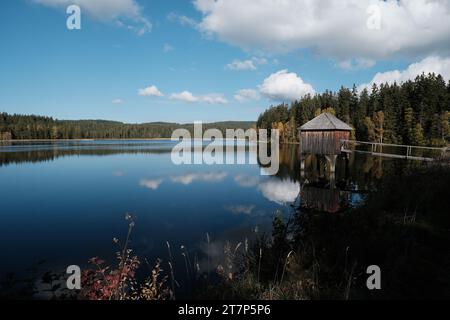 Rosenhofer Teiche bei Sandl im Spätherbst, Sandl, Mühlviertel, Oberösterreich, Österreich Stockfoto