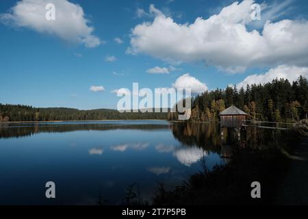 Rosenhofer Teiche bei Sandl im Spätherbst, Sandl, Mühlviertel, Oberösterreich, Österreich Stockfoto