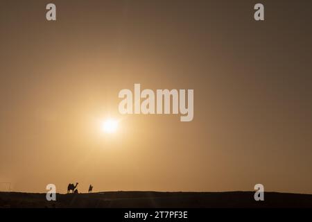 Die strahlende Wüstensonne hinterlässt beduinen und Kamele in einer Silhouette, die Wüstendünen durchquert Stockfoto