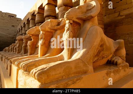 Große Sphinx-Statue aus Stein in den antiken Ruinen des Tempelkomplexes Karnak in der ägyptischen Wüstenstadt Luxor Stockfoto