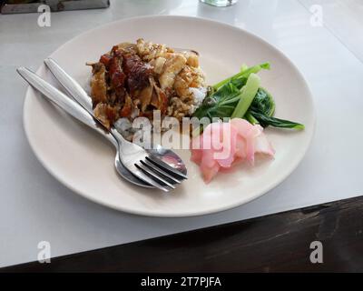 Gebratene Ente und knuspriges Schweinefleisch auf Reis mit gekochter Schweineschokolade und rosa eingelegtem Ingwer auf einem weißen Teller, chinesische Fusionsküche in Thailand Stockfoto