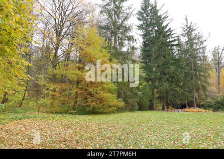 Wunderschöne Natur Herbstlandschaft. Blick auf den Herbst-Stadtpark mit goldgelbem Laub an bewölktem Tag. Spaziergänge im Stadtpark mit herbstlich gefallenen Blättern Stockfoto