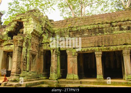 Alte Galerie der erstaunlichen Ta Prohm Tempel mit Bäumen überwuchert. Geheimnisvolle Ruinen von Ta Prohm, eingebettet zwischen Regenwald in Angkor, Siem Reap, Kambodscha. Stockfoto