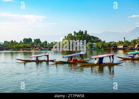 Shikars Boot auf dem dale Lake in Srinagar, Jammu Kaschmir, Indien Stockfoto