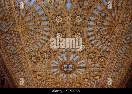 Innenblick, Decke, Livraria Lello, Porto, Portugal Stockfoto