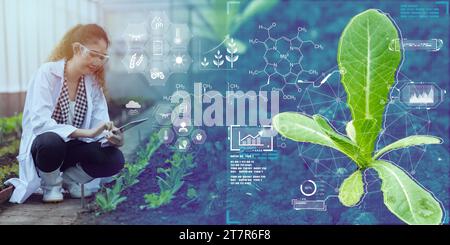 Bioforscher Wissenschaftlerarbeit in der Biowissenschaftsforschung Pflanzen wachsen in landwirtschaftlichen Betrieben mit digitaler Technologie Plantagengengenom-Analyse Stockfoto