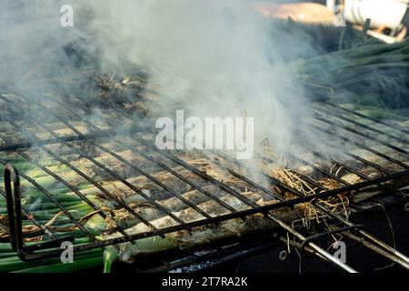 Varios calcots ist eine Vielzahl von zarten Zwiebeln. „Calcotada“. Typisch katalanisches Essen, das mit einer köstlichen Sauce gegessen wird. Stockfoto