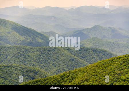 Grüne bewaldete Hänge im Vordergrund führen zu Reihen von dunstigen Bergrücken, die in einem blassen pfirsichfarbenen Himmel auf dem Blue Ridge Parkway, North Carolina, leuchten Stockfoto