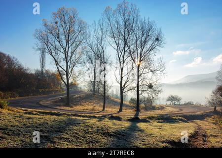 Bergpass im Herbst. Sonne hinter den blattlosen Bäumen auf den grasbewachsenen Hügeln im Frost. Nebel im Tal. Blauer Himmel über dem fernen Kamm Stockfoto