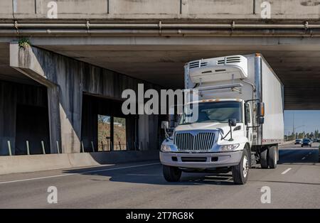 Industrieller, weißer Day Cab, mittelschwerer Lkw mit örtlichem Trägerfahrzeug und Kühlkastenanhänger, der auf der geraden Autobahn mit betonbrücken fährt Stockfoto