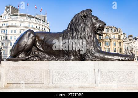 Einer der vier Löwen am Trafalgar Square, der die Nelson-Säule umgibt, wird gemeinhin als „Landseer Lions“ bezeichnet Stockfoto