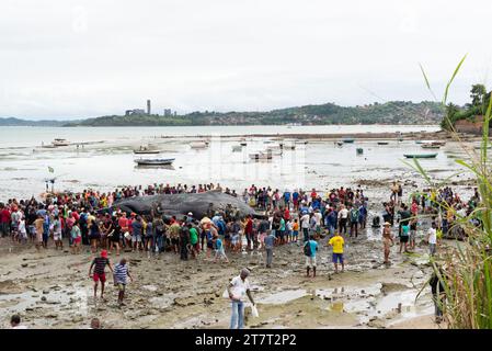 Salvador, Bahia, Brasilien - 30. August 2019: Buckelwal tot am Strand von Coutos in der Stadt Salvador, Bahia. Stockfoto