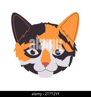 Schwarz weiß und orange Farbe Kopf flauschig Pelz Katze Säugetier Haustier süß entzückende Haustier Kreatur Stock Vektor