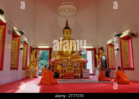 Buddhistische Mönche bereiten sich auf Abendgebete vor einer Buddha-Statue im Wat Mongkol Nimit (Mongkon Nimit) in Phuket, Phuket, Thailand vor Stockfoto