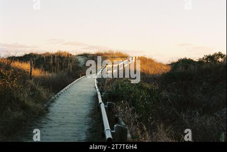 Promenade zum Meer auf Sullivans Island SC Stockfoto