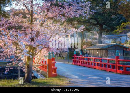 Kyoto, Japan - 1. April 2023: Präfekturaler Uji Park mit voller Kirschblüte ist das Symbol der Stadt Uji mit schöner Landschaft der Stadt und PR Stockfoto