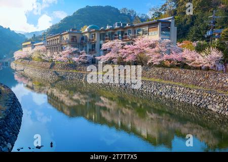 Kyoto, Japan - 1. April 2023: Präfekturaler Uji Park mit voller Kirschblüte ist das Symbol der Stadt Uji mit schöner Landschaft der Stadt und PR Stockfoto