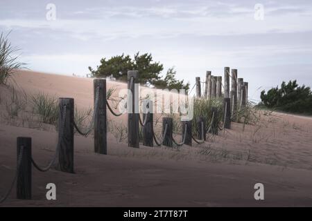 Sanddünen am Yyteri Beach, Sommer in Finnland Stockfoto