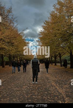 London, Großbritannien - 05. November 2023 - Rückansicht des Mannes genießt im Herbst den Blick auf den Baum lange Zeit, während viele Menschen durch ihn laufen Stockfoto