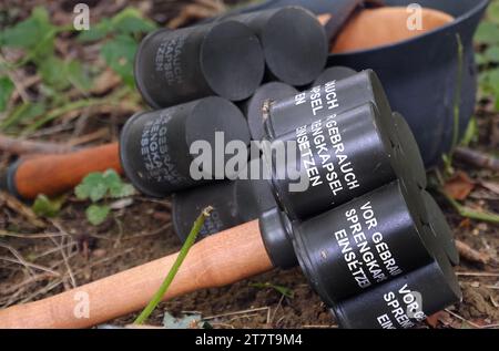 Stielhandgranate Stielhandgranate ist der deutsche Begriff für „Zeckenhandgranate“. Stockfoto